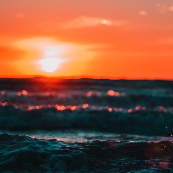 Meet your Posher, Leigha - Picture 1 of 1